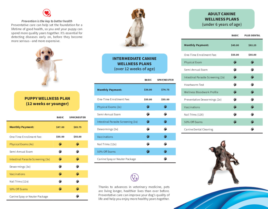 Canine Wellness Plans