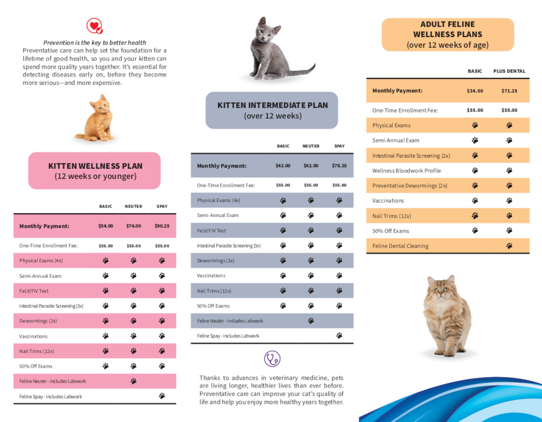 Feline Wellness Plans